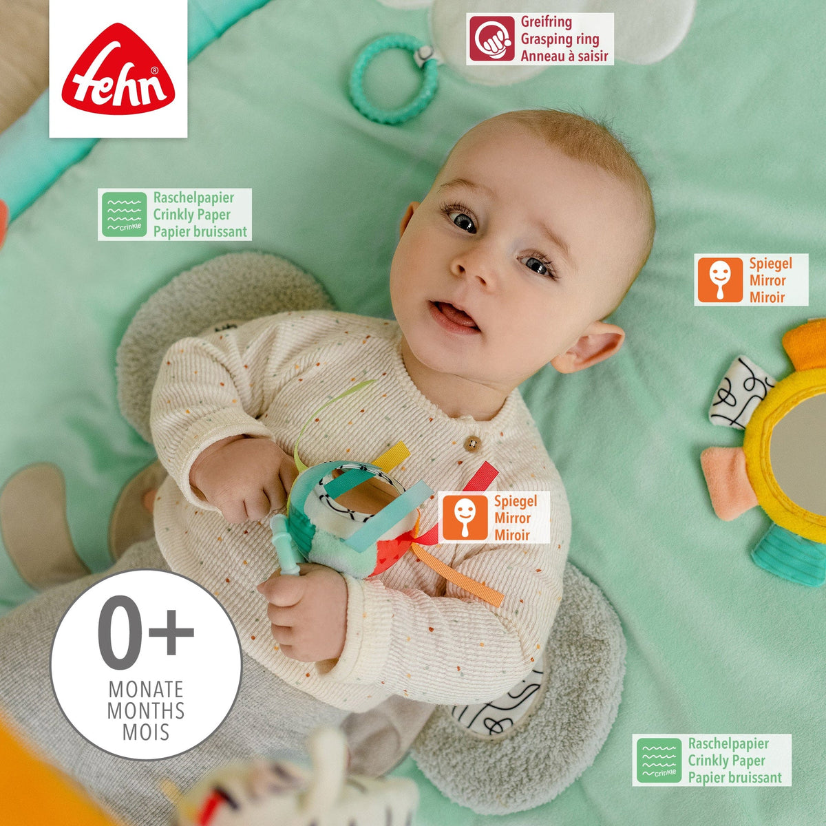 3-D-Activity-Decke Koala