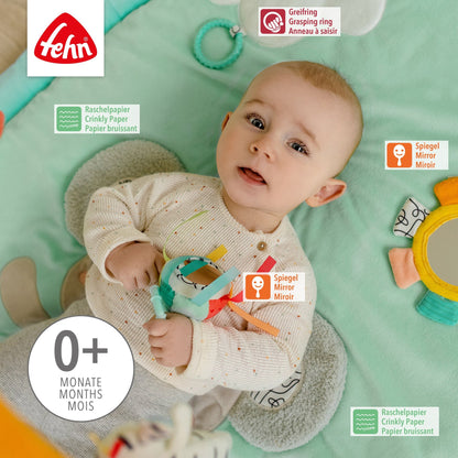 3-D-Activity-Decke Koala