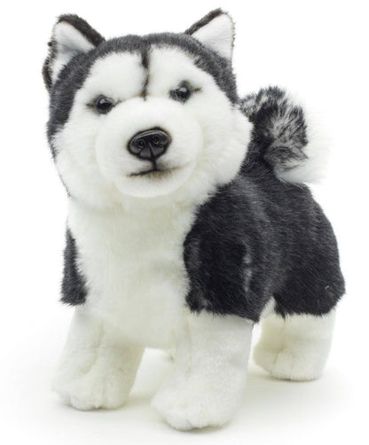 Stehendes Plüschtier eines schwarzen Huskywelpen