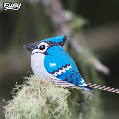 067 Blue Jay