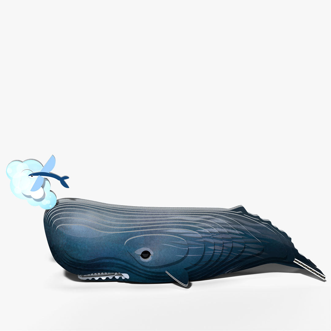 092 Sperm Whale