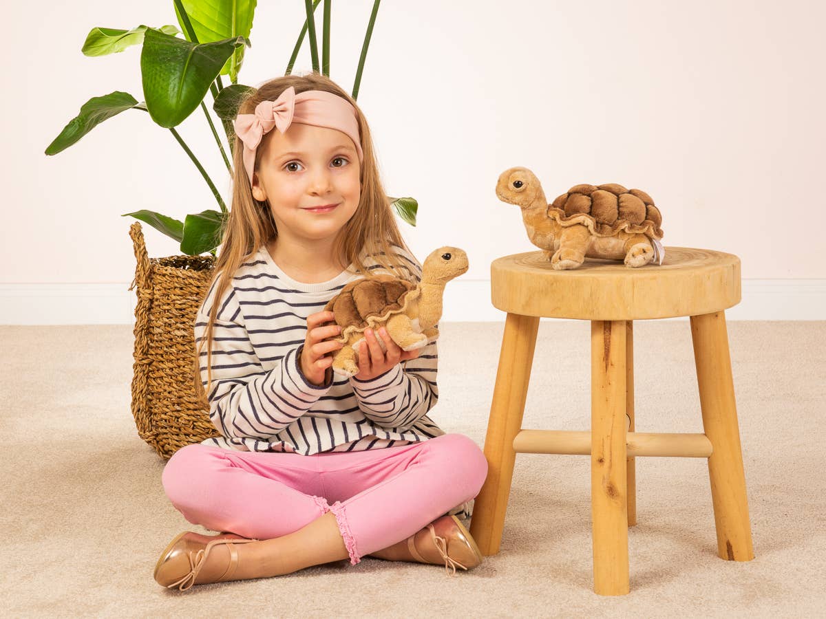 Turtle Plush