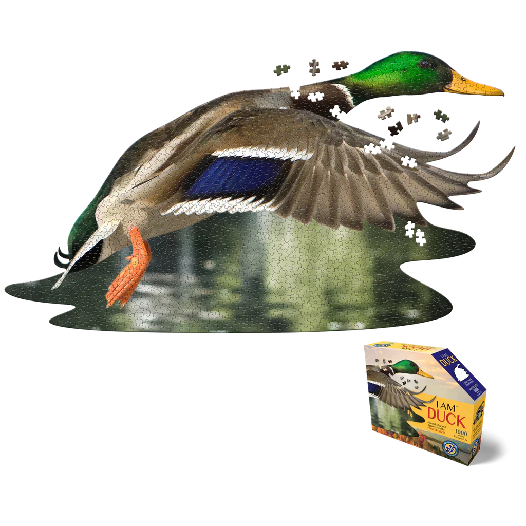 Mallard Duck Puzzle