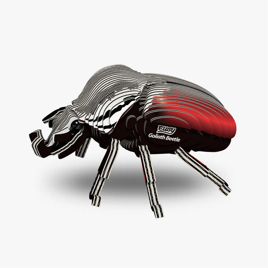 111 Goliath Beetle
