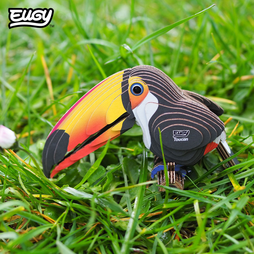 115 Toucan