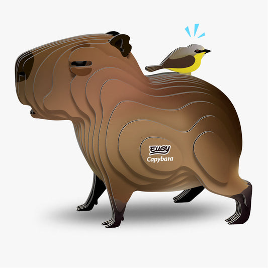 120 Capybaras