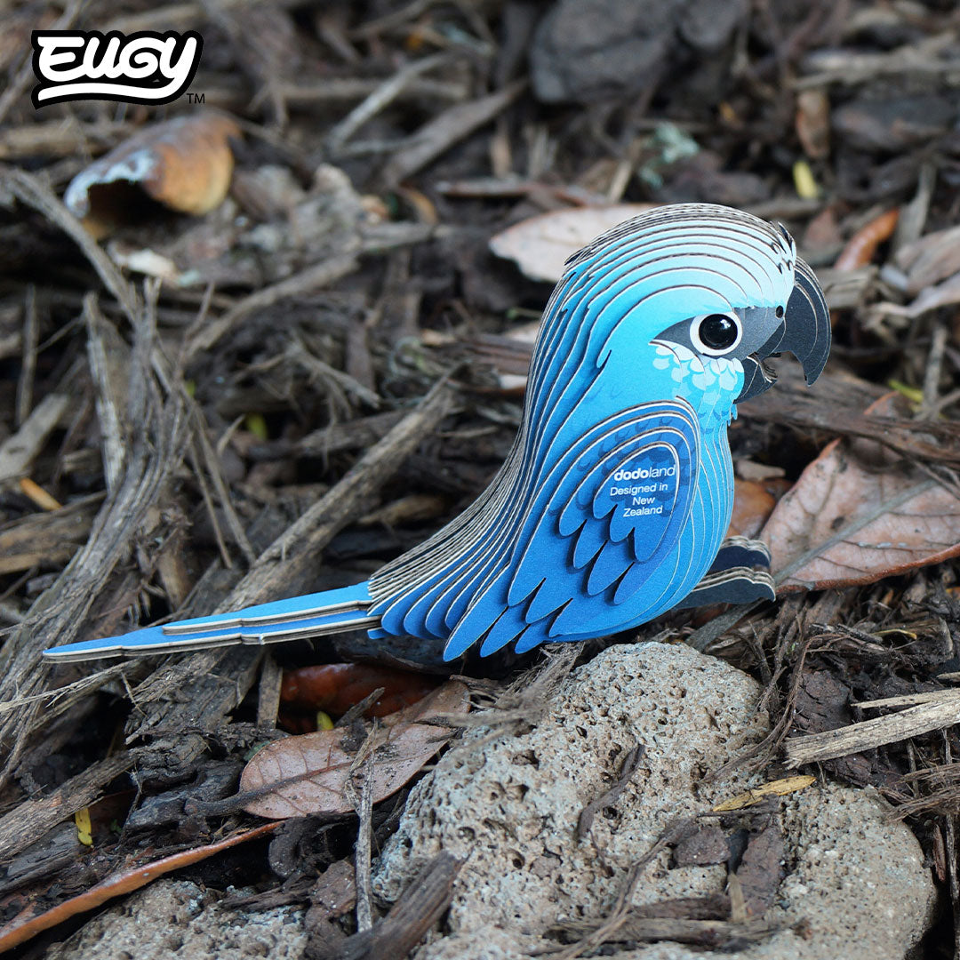 123 Spix's Macaw