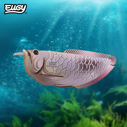 124 Arowana argenté