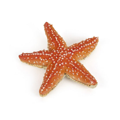 Figurine Etoile de mer