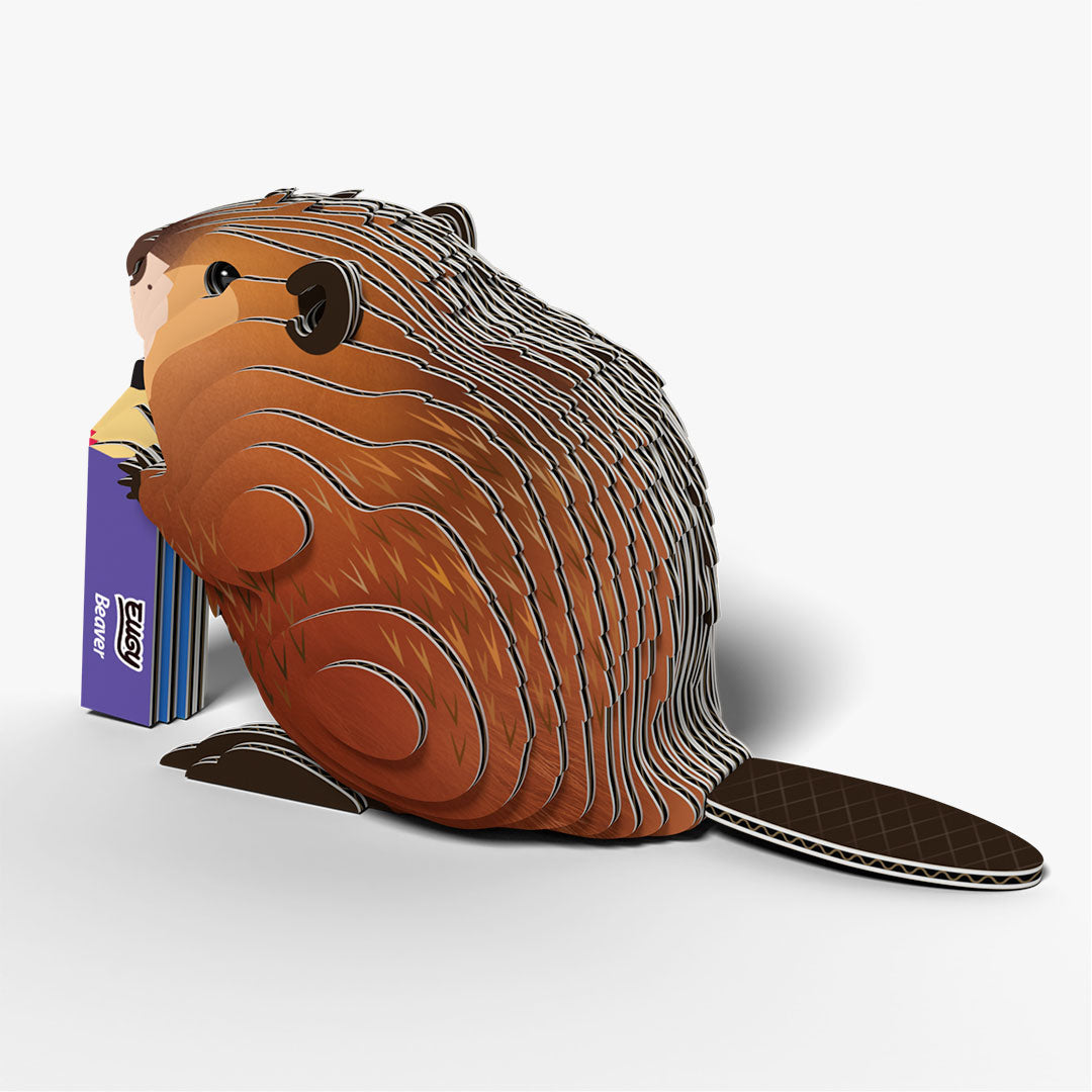 127 Beaver