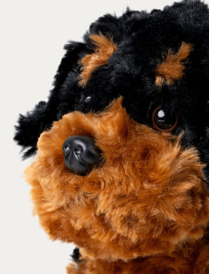 Peluche Chien Teddy Dogs – Brun – Vue 4