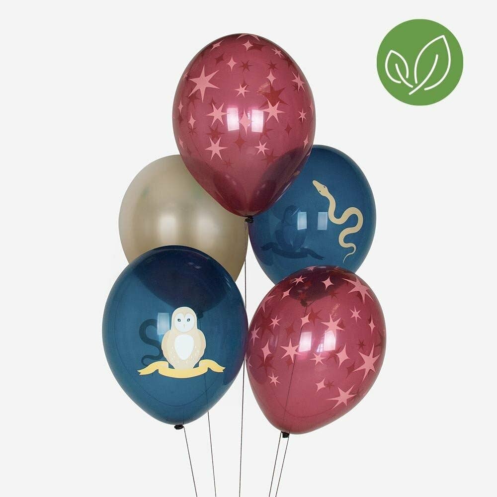 5 Ballons de fête - Sorcier