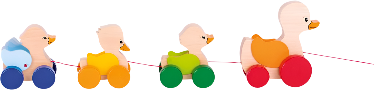 Ziehtier - Große Entenfamilie