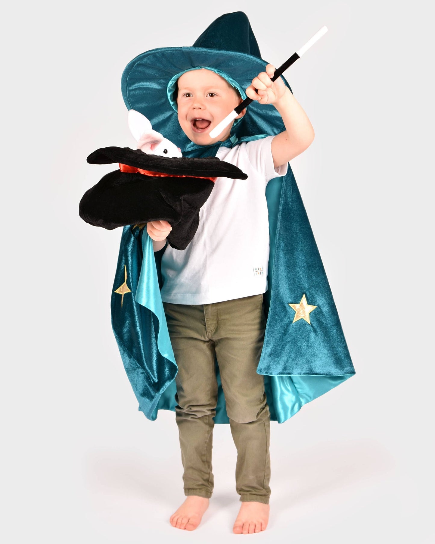 Deluxe Velvet Wizard Set, Size 98-128 cm, 3-8 years, 3 pieces