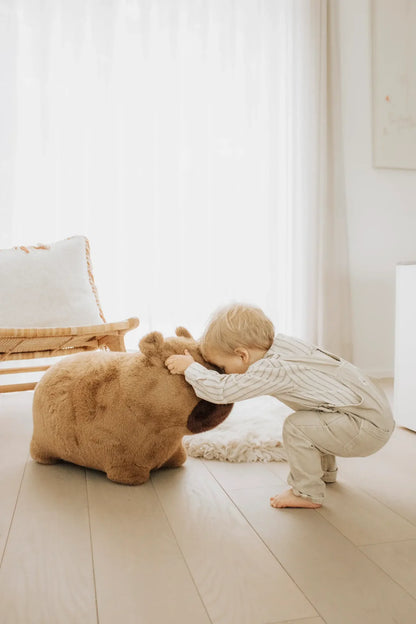Capybara douce et rebondissante
