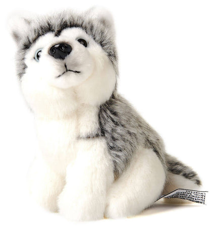 Peluche Husky, assis
