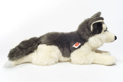 Grande Peluche Husky Couché – 60 cm - Teddy Hermann