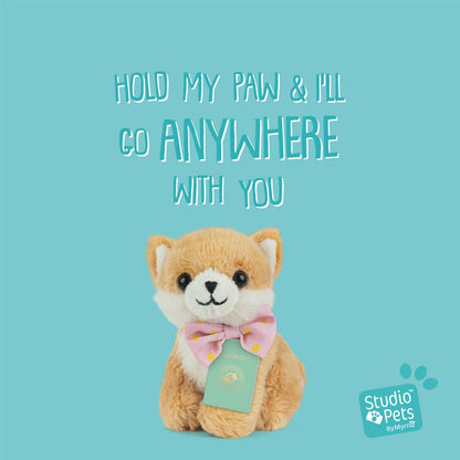 Mini Peluche Chiot Poméranien