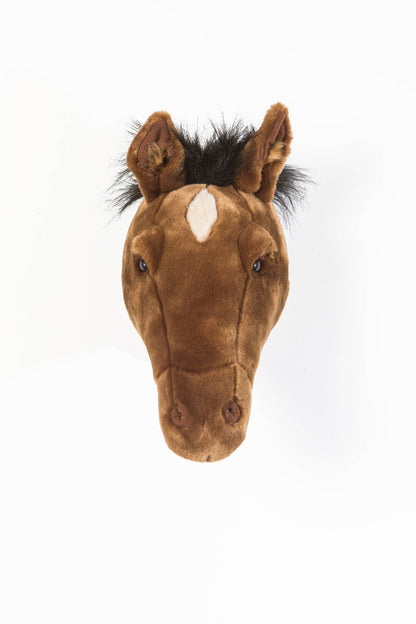 Scarlett le cheval brun