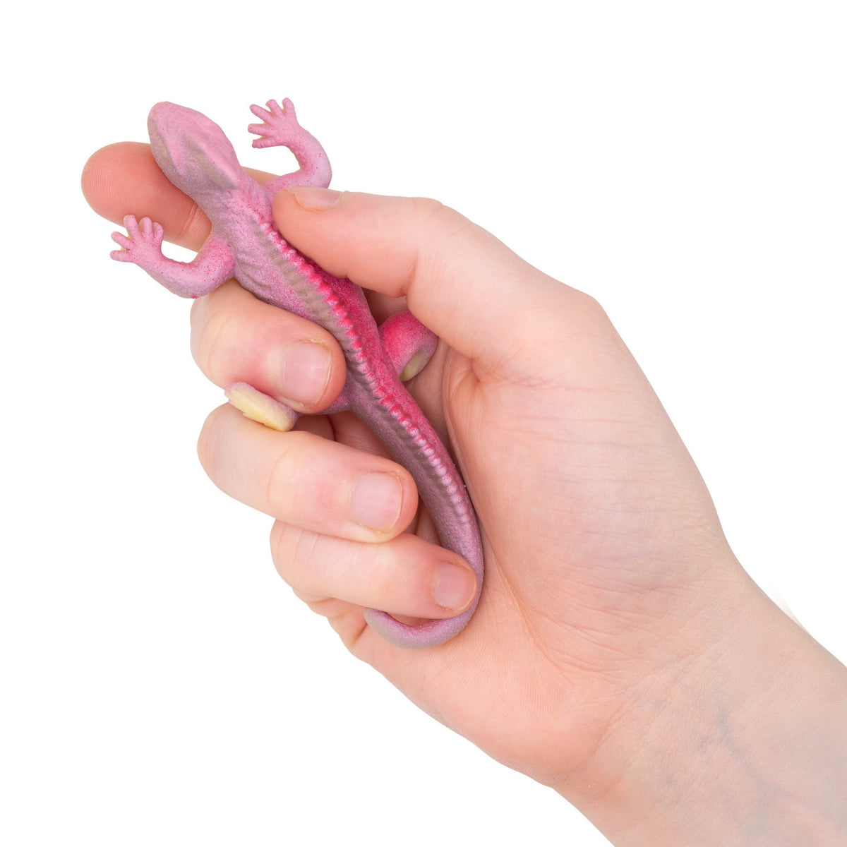 MINI LÉZARDS CHANGEANTS DE COULEUR 4PK