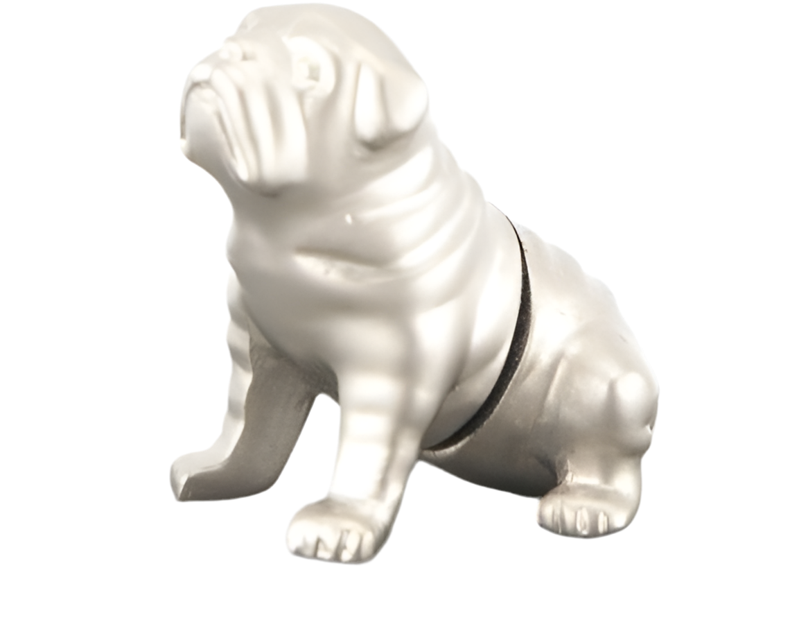 Magnetischer Fotohalter „Bulldog“