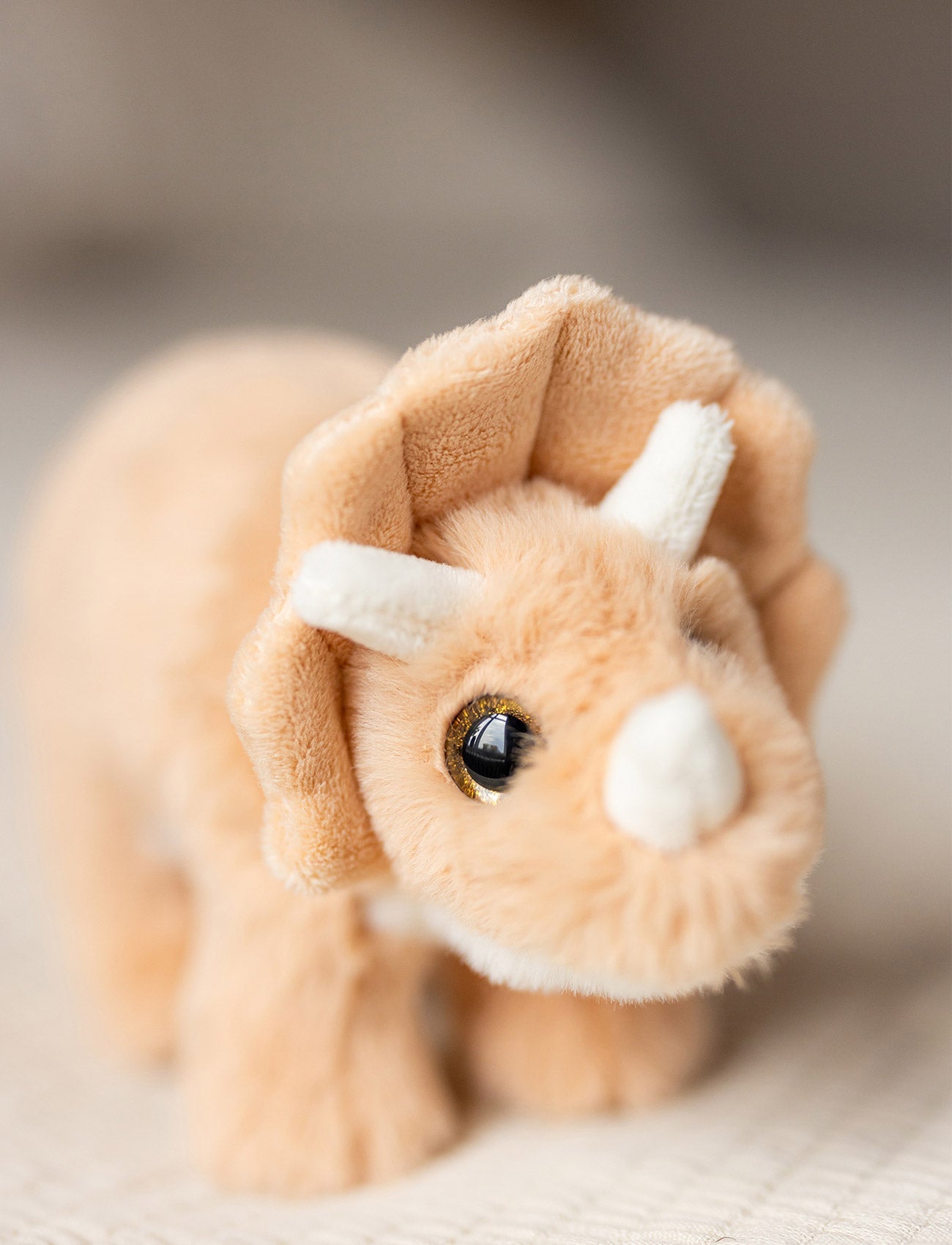 Peluche Dinosaure Triceratops – Grand – Vue 5