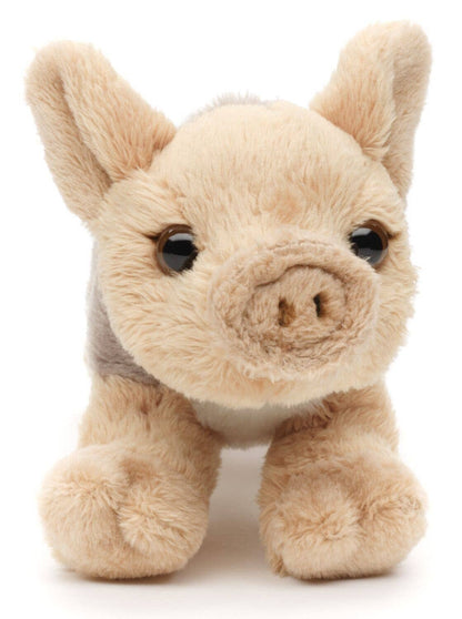Peluche Marcassin
