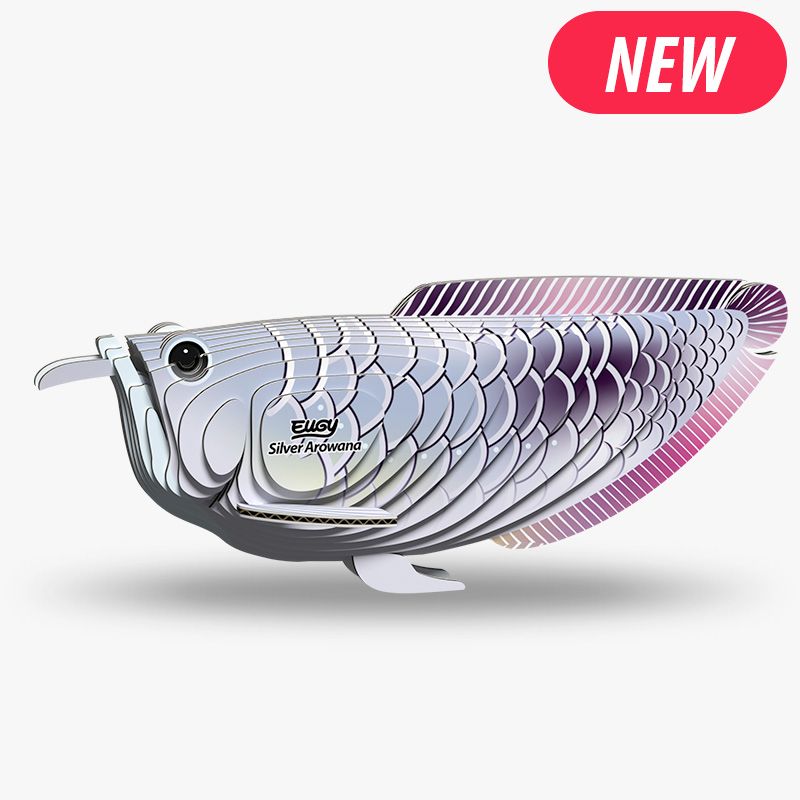 eugy 124 silver arowana