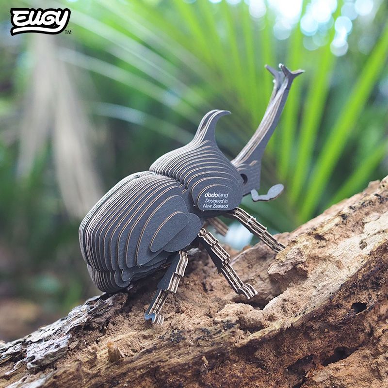 eugy 3d scarabee rhinoceros