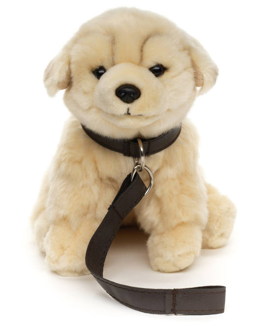 Peluche Golden Retriever (avec laisse) Uni Toys