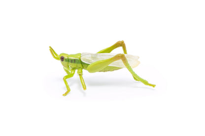 Figurine Sauterelle