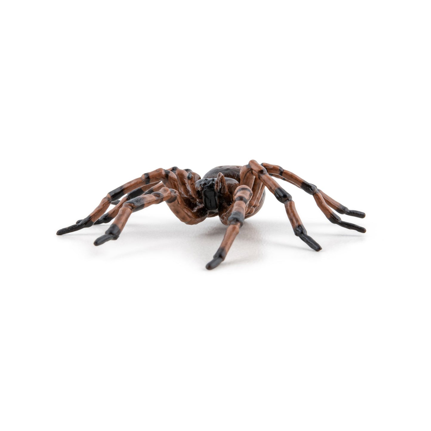 Figurine Araignée commune