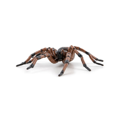 Figurine Araignée commune