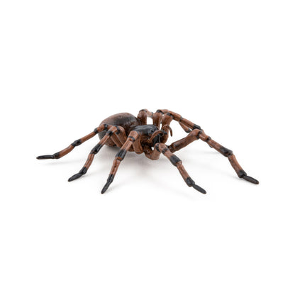 Figurine Araignée commune