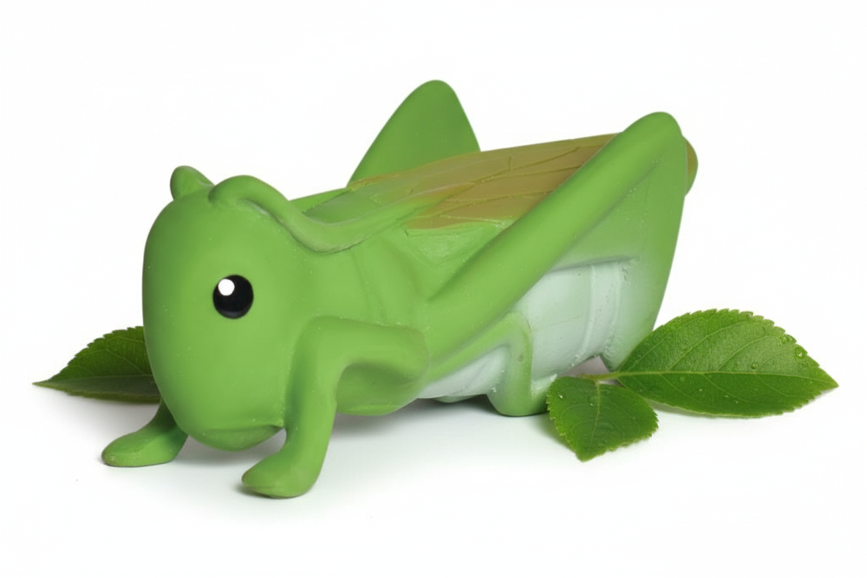 My first grasshopper insect