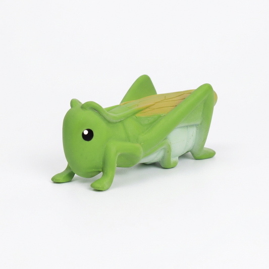 Mon Premier Animal du Jardin – Sauterelle – Tikiri