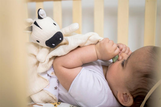 Doudou Zèbre avec Support de Dentition