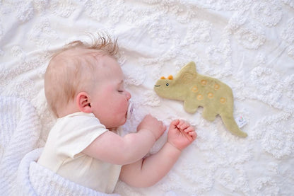 Dinosaur Triceratops Crinkle Toy