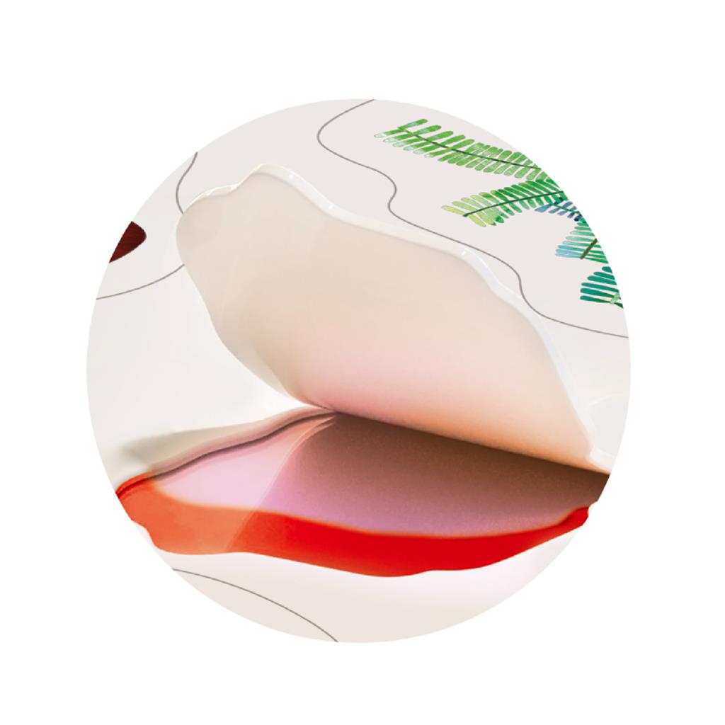 Jelly Stickers - Dinosaur Land