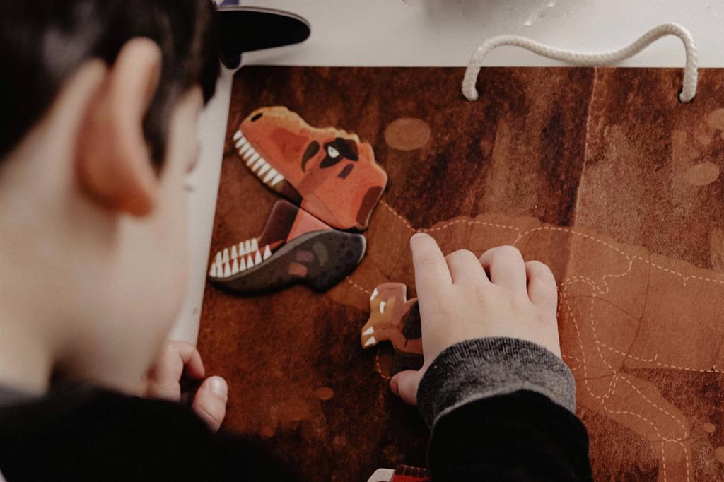 Magnetic Pad - Dinosaur