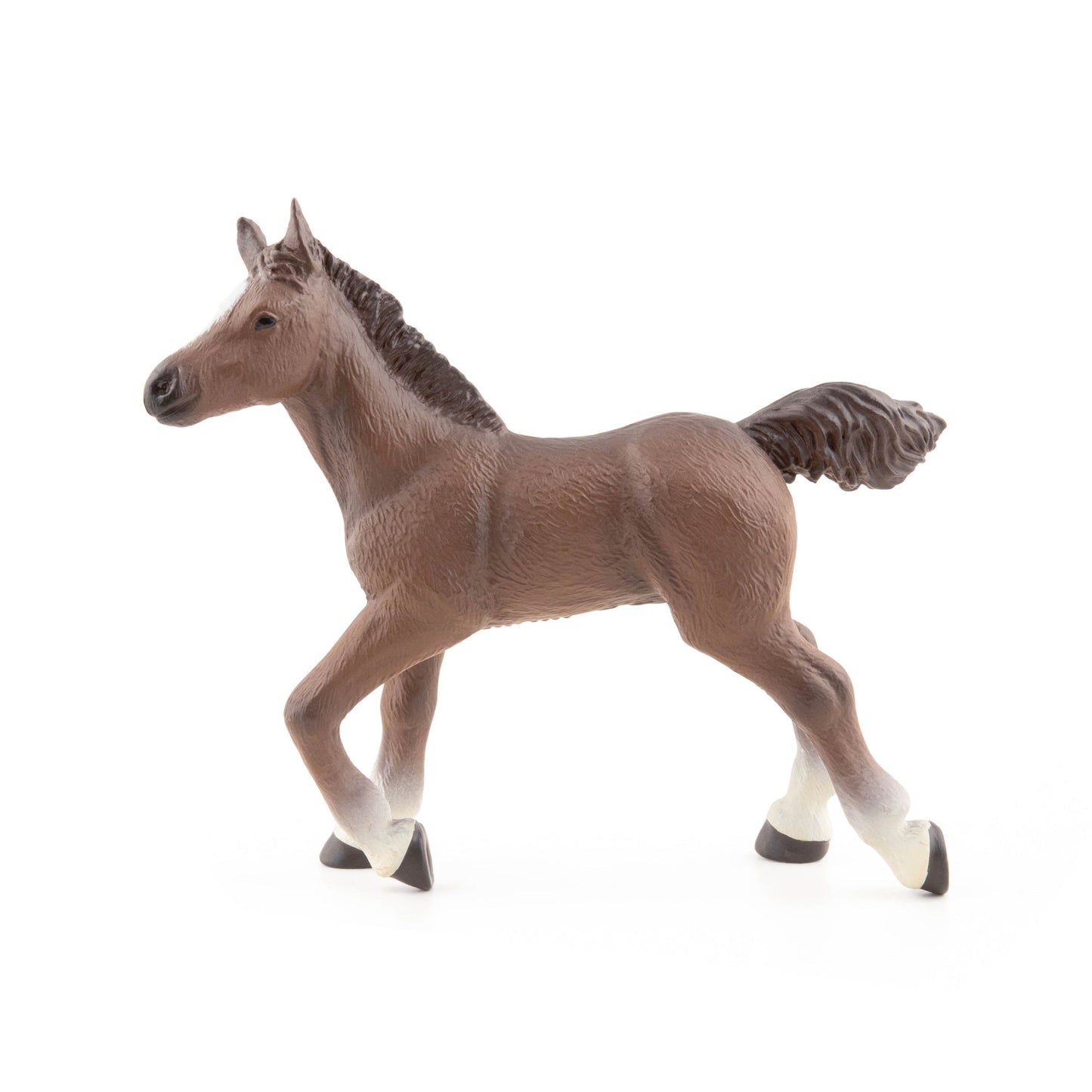 Figurine Poulain anglo-arabe