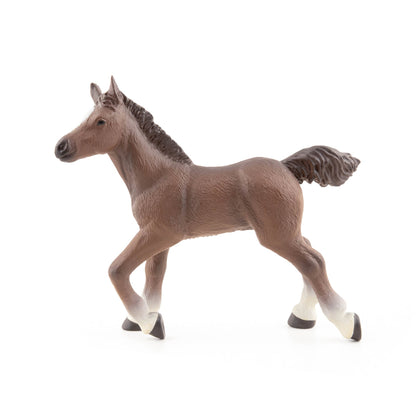 Figurine Poulain anglo-arabe