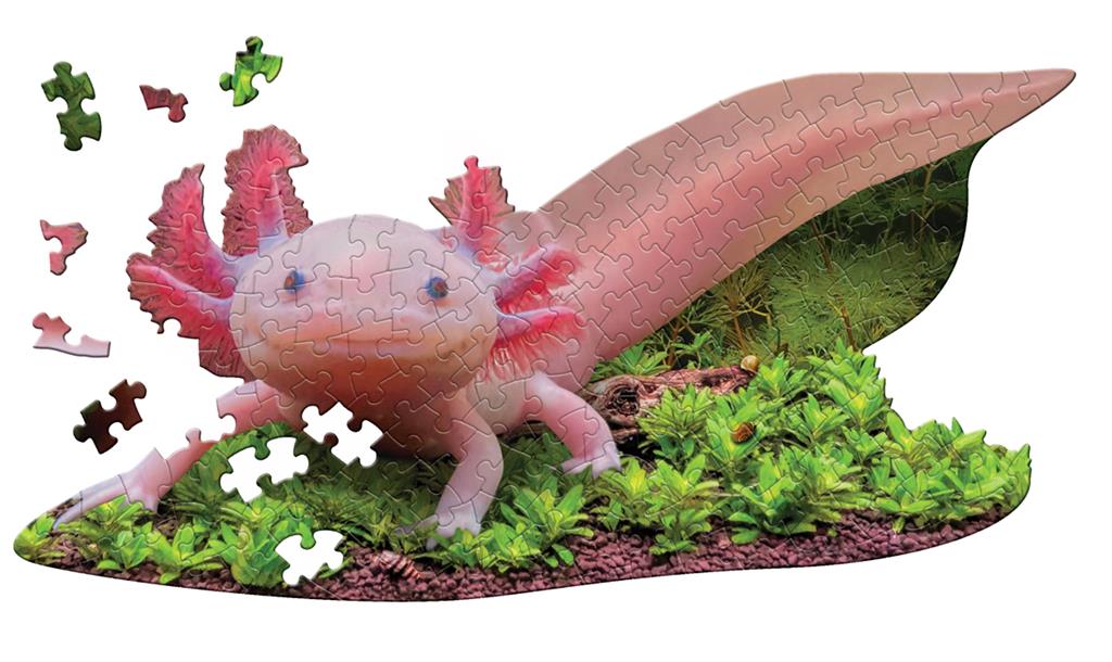 Axolotl Puzzle
