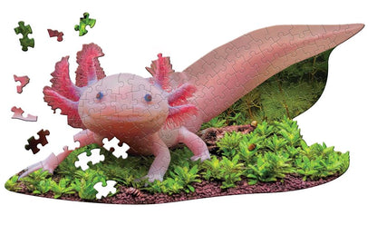Axolotl Puzzle