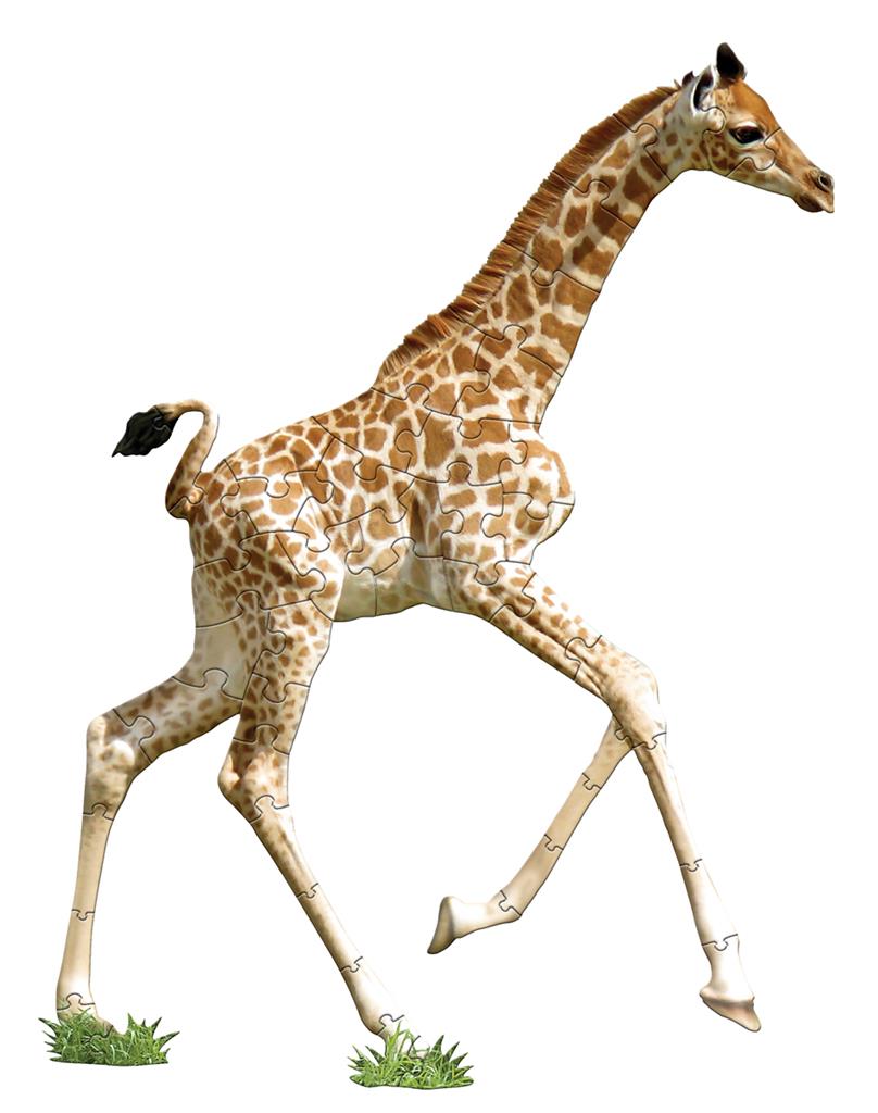 Giraffen-Puzzle