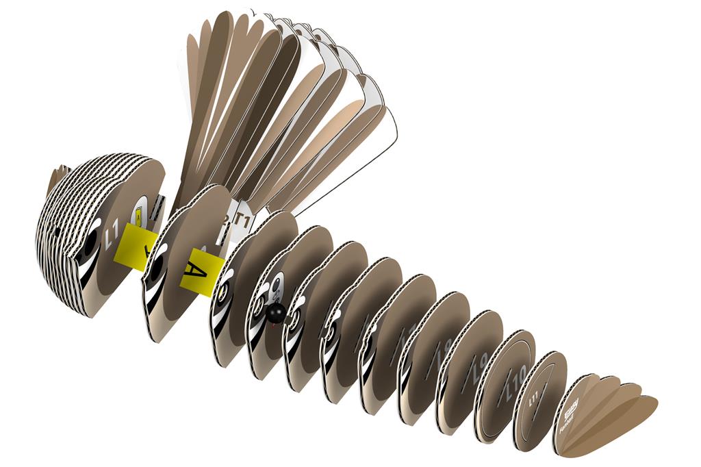 EUGY 3D - Rhipidure à collier