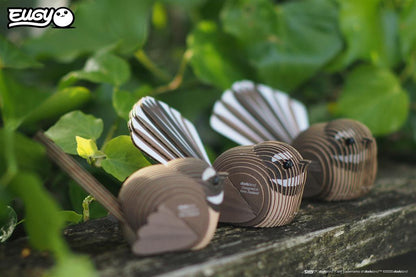 EUGY 3D - Rhipidure à collier