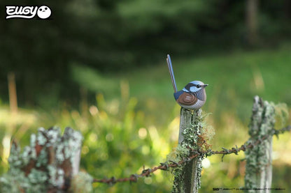 EUGY 3D - Mérion Superbe