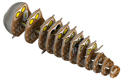 EUGY 3D - Owl