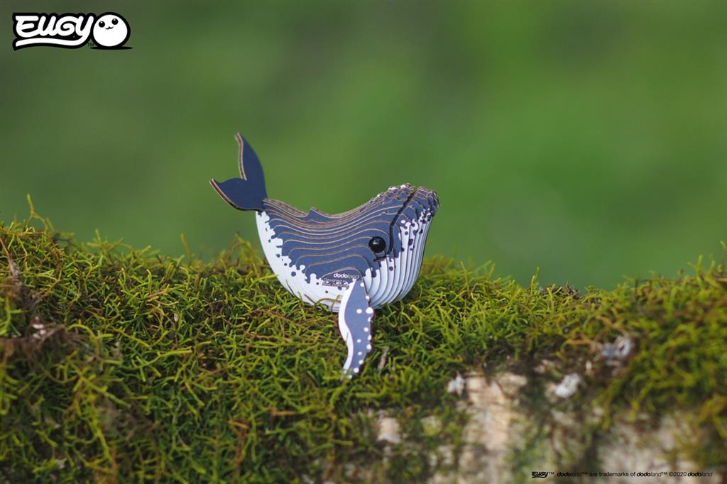 EUGY 3D - Baleine à Bosse